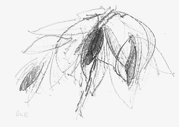 Helmut Fian - Naturstudien